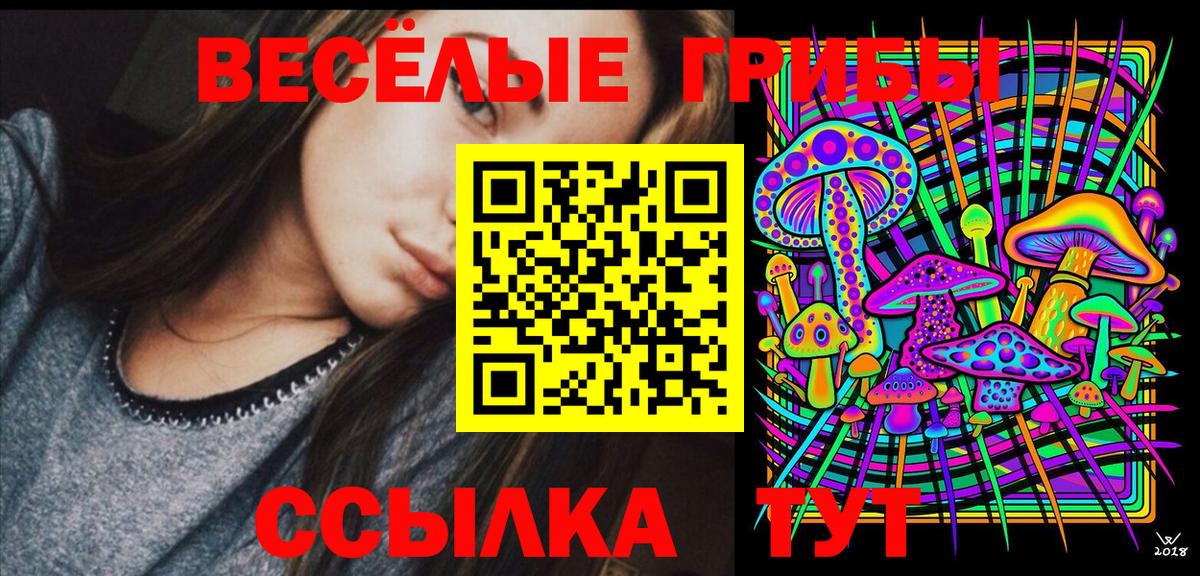 Псилоцибиновые грибы Cubensis Югорск